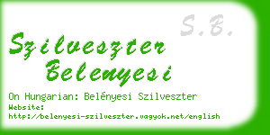 szilveszter belenyesi business card
