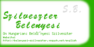 szilveszter belenyesi business card